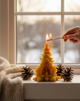 Candle shaped like a Christmas tree being lit with a match, surrounded by pine cones on a windowsill. pine tree beeswax candle with nativity scene catholic christmas gifts
